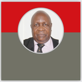 Mr. Mathew S Ngulube